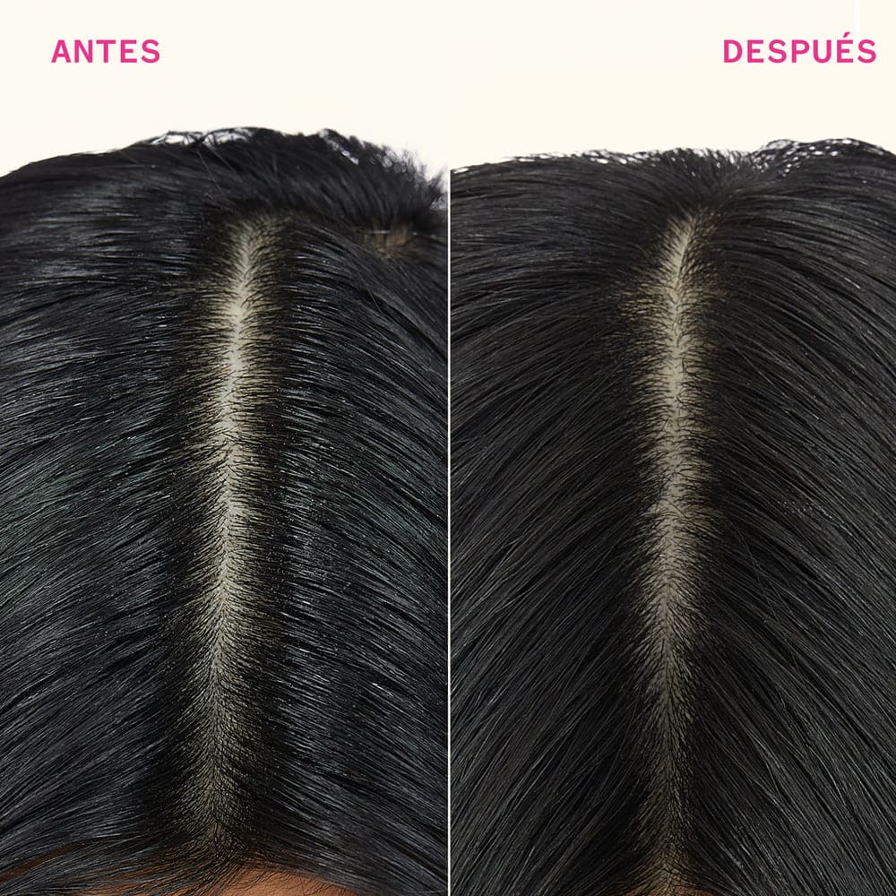 PERK UP PLUS EXTENDED CLEAN DRY SHAMPOO (CHAMP&Uacute; EN SECO)